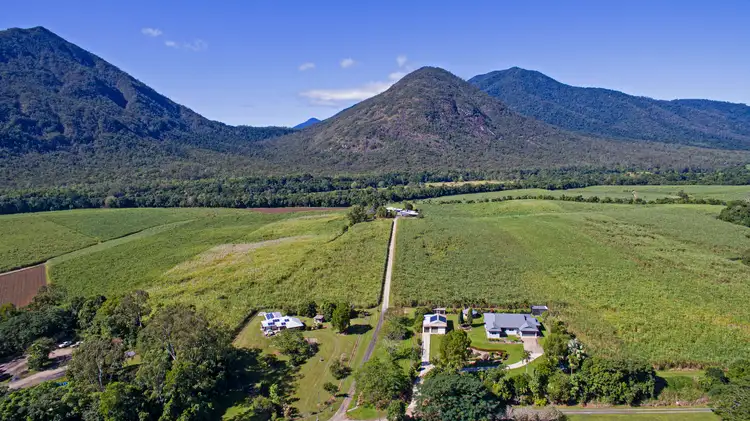 163 Gillies Range Road, Gordonvale QLD 4865