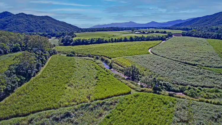 Third view of Homely rural property listing, 163 Gillies Range Road, Gordonvale QLD 4865