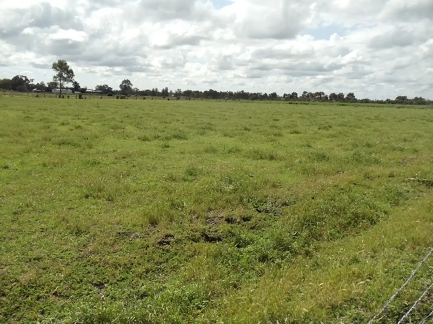 Main view of Homely rural property listing, CA 56 Ray Road, Beverford VIC 3590
