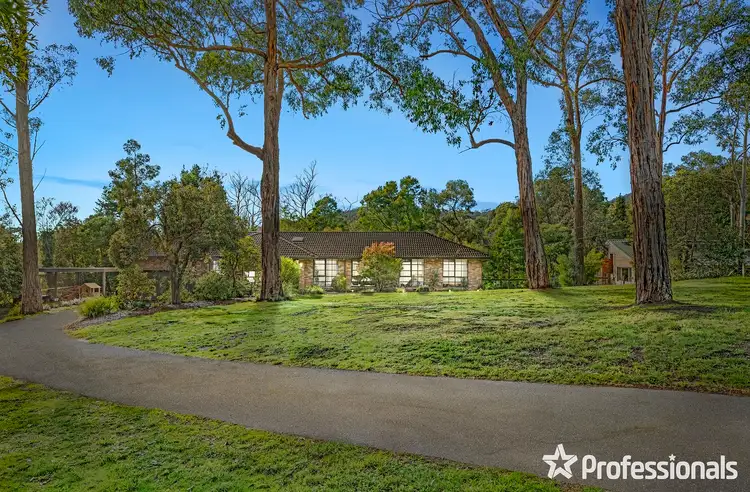 53 Belvedere Drive, Montrose VIC 3765