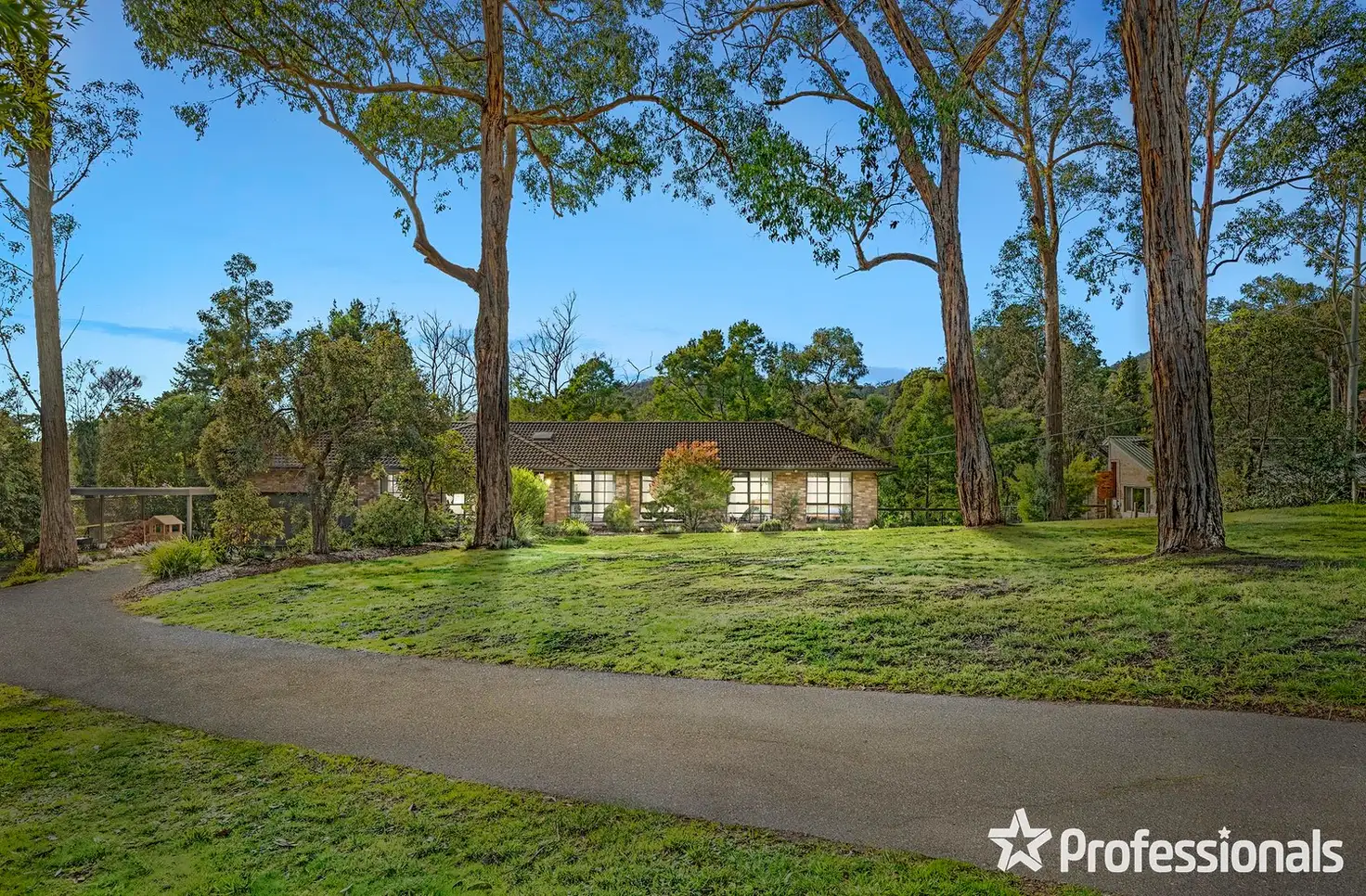 Main view of Homely house listing, 53 Belvedere Drive, Montrose VIC 3765