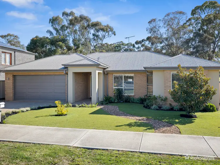 Main view of Homely house listing, 317 Gladstone Street, Maryborough VIC 3465