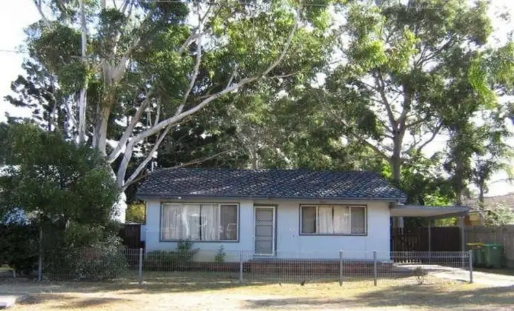 11 Squirrel Street