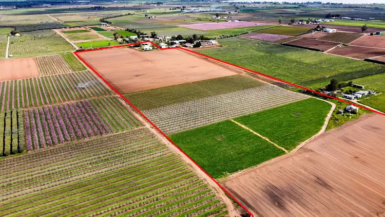 Second view of Homely rural property listing, 157 Ridge Road, Tresco VIC 3583