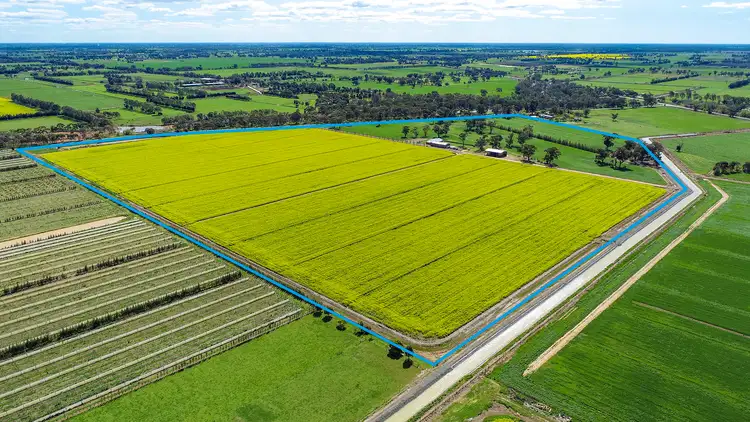 Fifth view of Homely rural property listing, 794 Ardmona Road, Mooroopna North VIC 3629