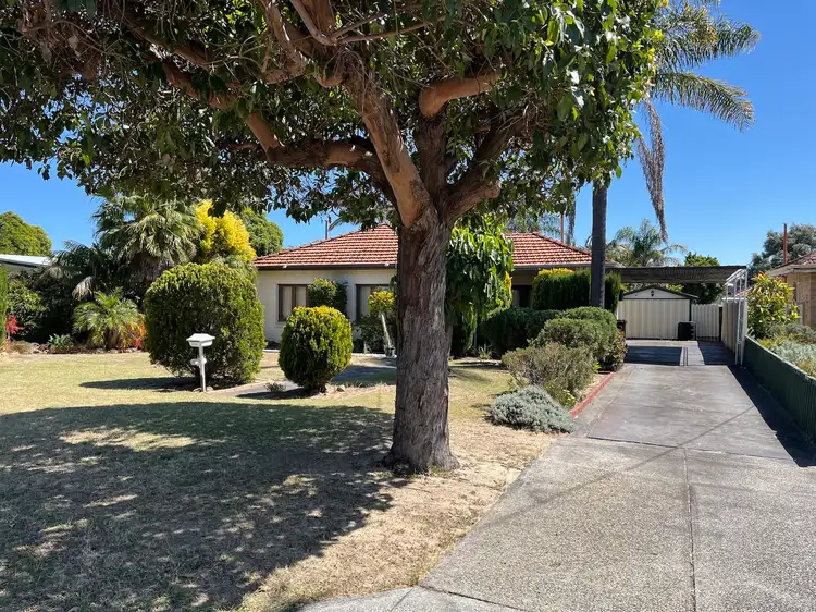 3 Noongah Place, Nollamara WA 6061