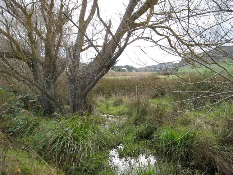 Seventh view of Homely rural property listing, Lot 2 Nangkita Road, Mount Compass SA 5210