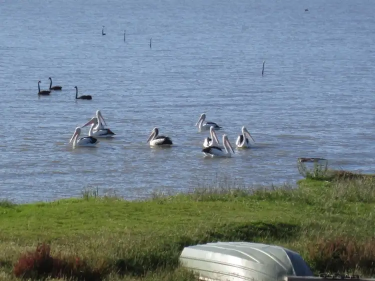 Second view of Homely rural property listing, Lot 103 Lake Road, Milang SA 5256