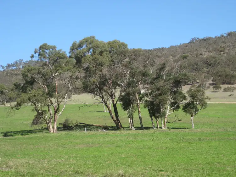 Sixth view of Homely rural property listing, Lot 8 Cleland Gully Road, Tooperang SA 5255