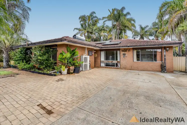 Main view of Homely house listing, 31 Salmon Gum Rise, Willetton WA 6155