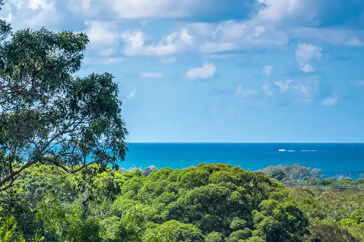 3 Roseash Court, Pottsville NSW 2489