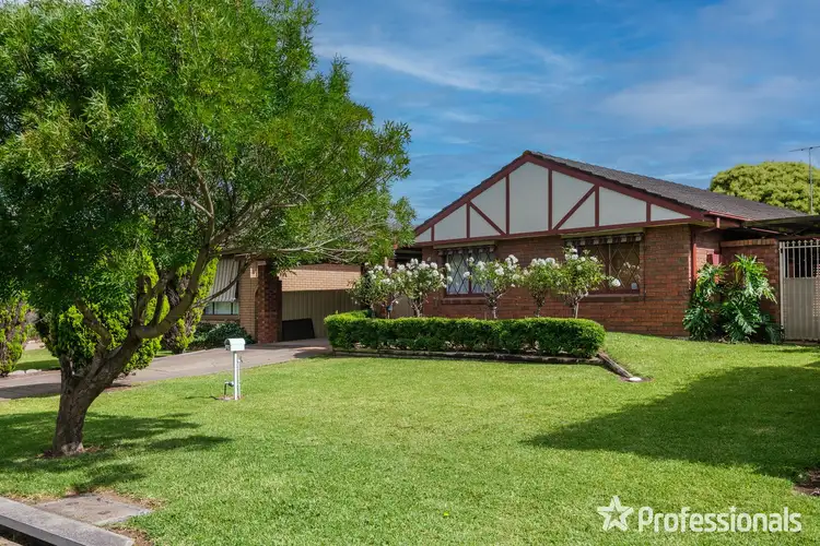 41 Shiraz Street, Muswellbrook NSW 2333