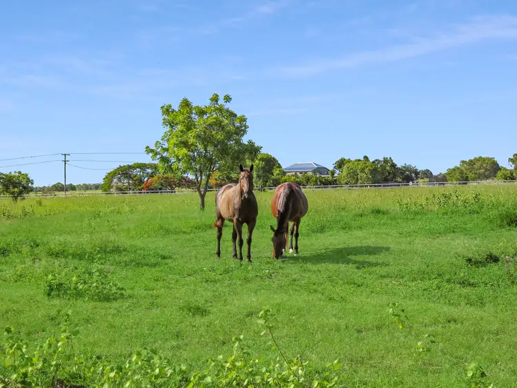 Second view of Homely rural property listing, 280 Kelsey Road, Bowen QLD 4805