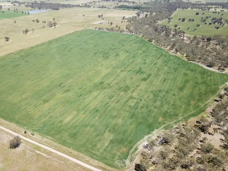 Second view of Homely rural property listing, 121 Reillys Pit Road, Wunghnu VIC 3635