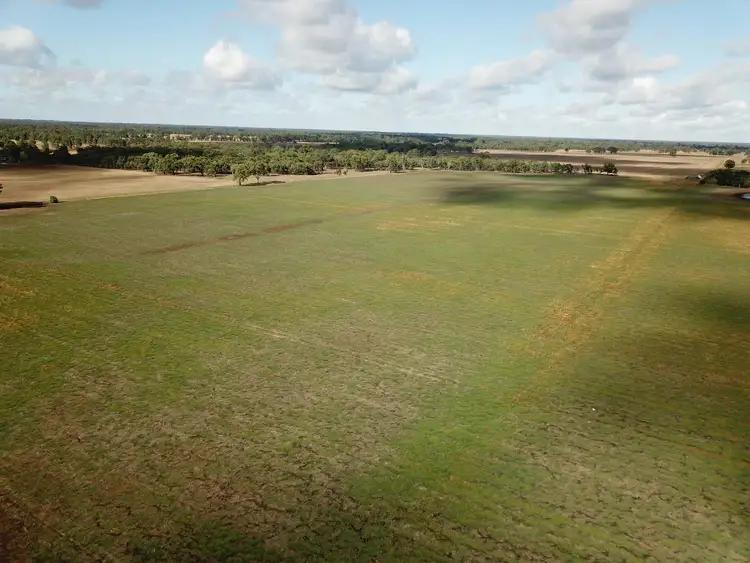 Fourth view of Homely rural property listing, 1676 Barmah-Shepparton Road, Nathalia VIC 3638