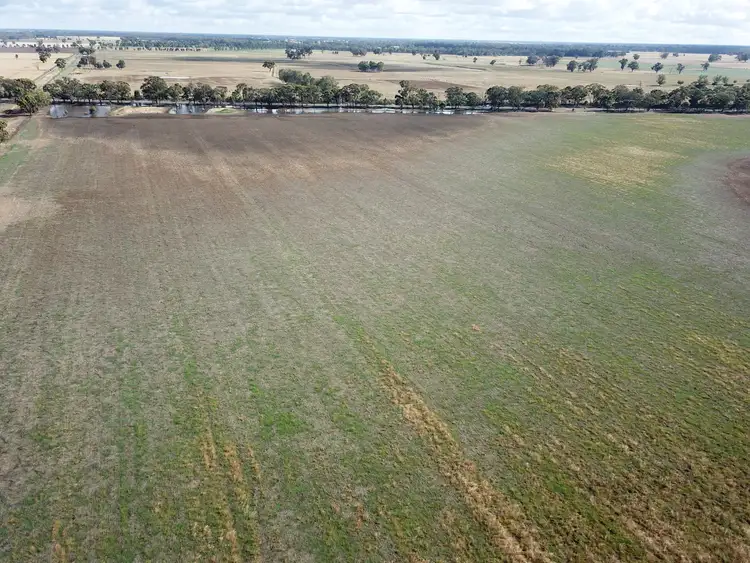 Sixth view of Homely rural property listing, 1676 Barmah-Shepparton Road, Nathalia VIC 3638