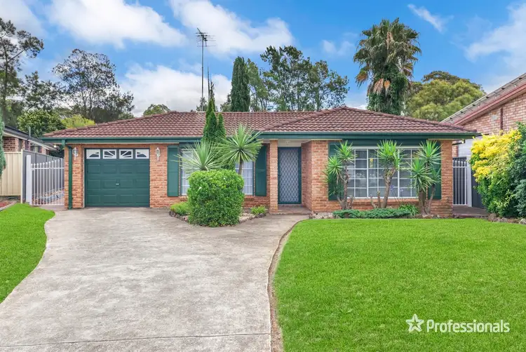 10 Pecan Close, St Clair NSW 2759