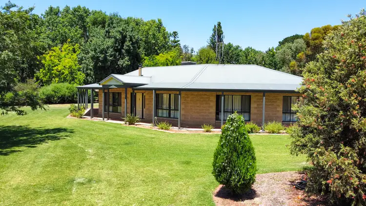 Third view of Homely rural property listing, 134 Yana Street, Swan Hill VIC 3585