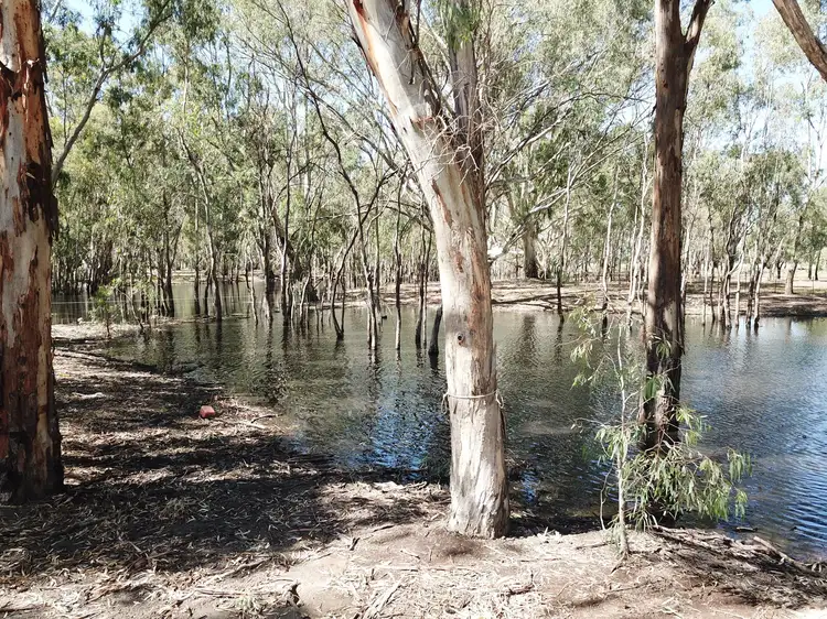 Seventh view of Homely rural property listing, 20 Williams Street, Bearii VIC 3641
