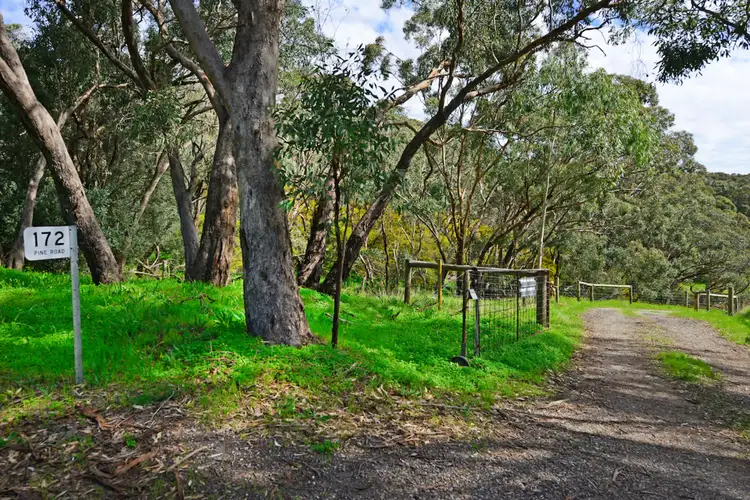 Third view of Homely rural property listing, 172 Pine Road, Woodcroft SA 5162