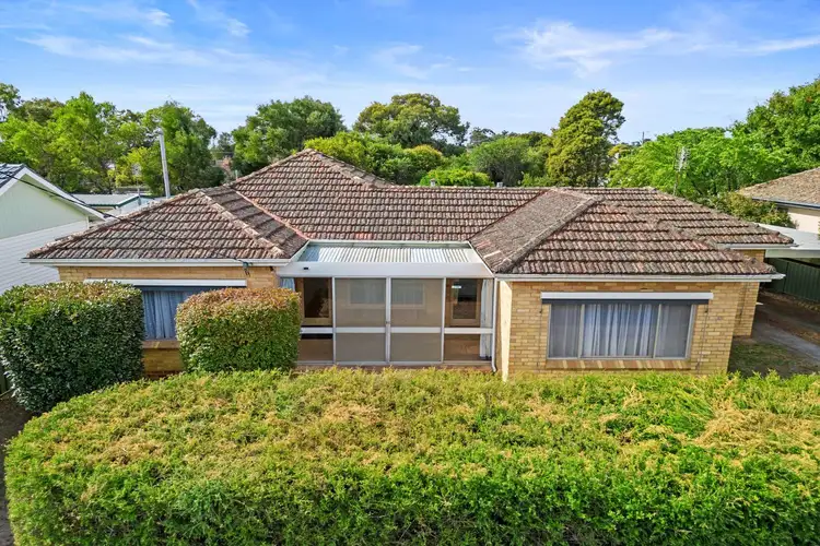 Main view of Homely house listing, 15 Theodore Street, Flora Hill VIC 3550