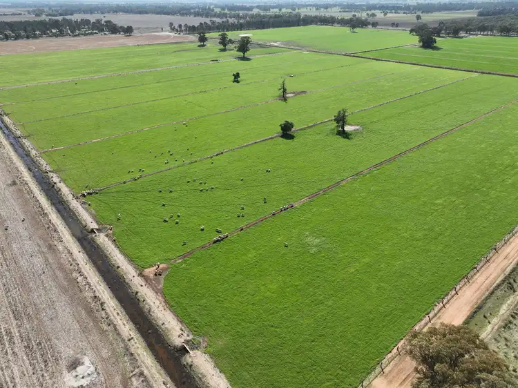 Sixth view of Homely rural property listing, 2794 Murray Valley Highway, Yielima VIC 3638