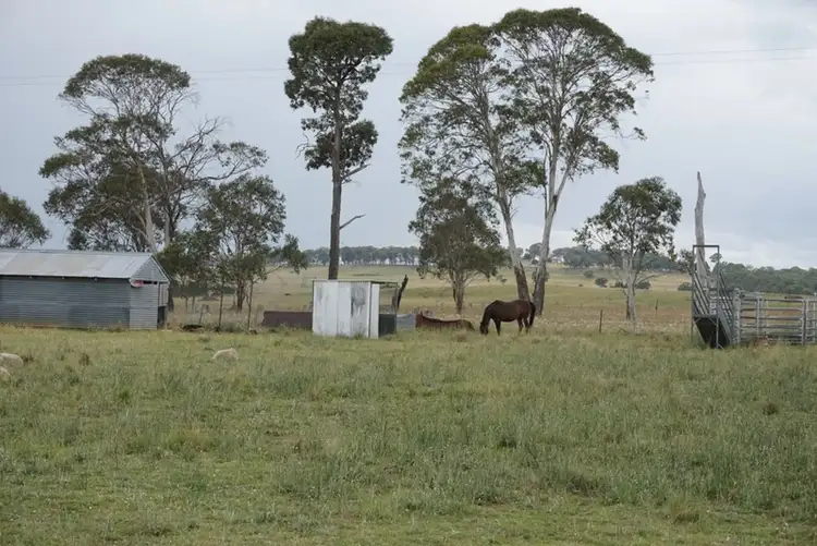 Fourth view of Homely rural property listing, 30 Wards Mistake Road, Guyra NSW 2365