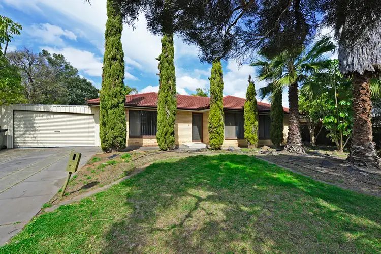 Main view of Homely house listing, 19 Walker Avenue, Paradise SA 5075