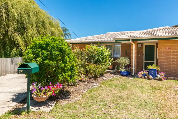 Third view of Homely house listing, 43 Hibiscus Drive, Forrestfield WA 6058