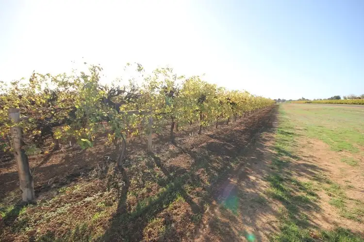 Sixth view of Homely rural property listing, Lot 1 Pascendale Avenue, Yelta VIC 3505