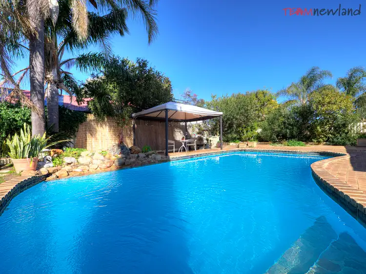 Main view of Homely house listing, 117 Dawson Avenue, Forrestfield WA 6058