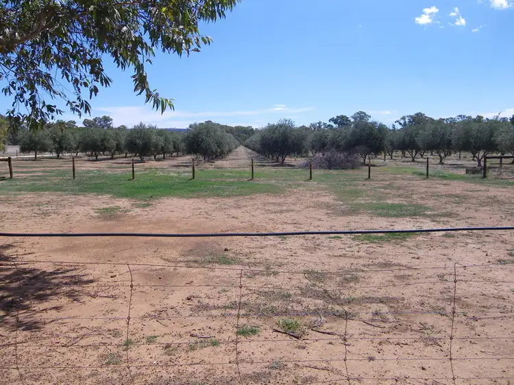 Second view of Homely rural property listing, Lot 101 Stock Route Road, Laura SA 5480