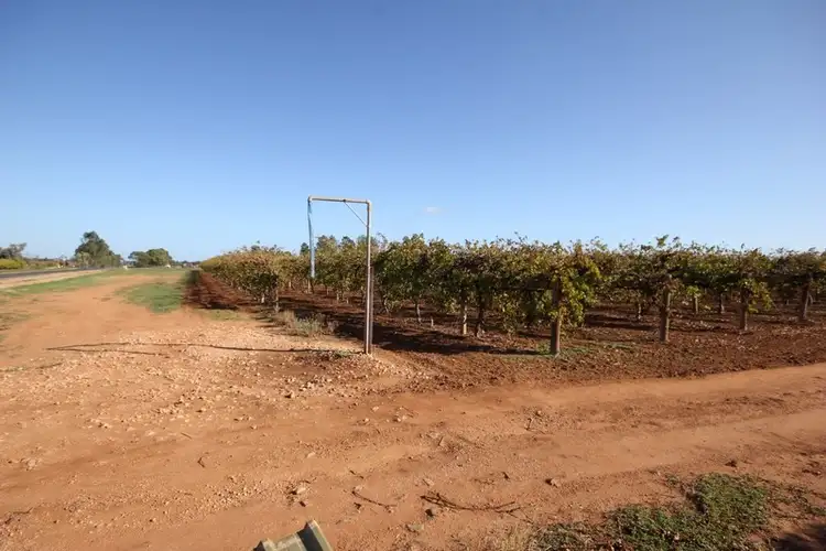 Seventh view of Homely rural property listing, Lot 1 Pascendale Avenue, Yelta VIC 3505