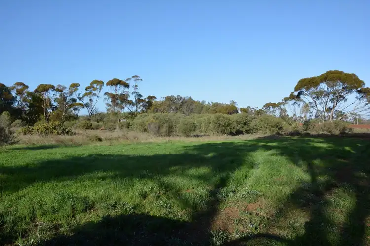 Third view of Homely rural property listing, 3249 A & B Sixteenth Street, Irymple VIC 3498