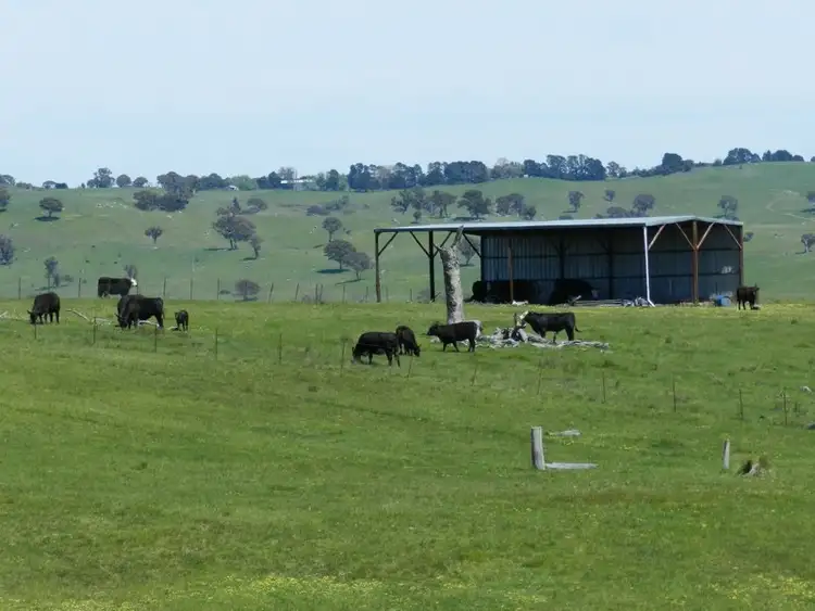 Seventh view of Homely rural property listing, 1159 Binda Road, Crookwell NSW 2583