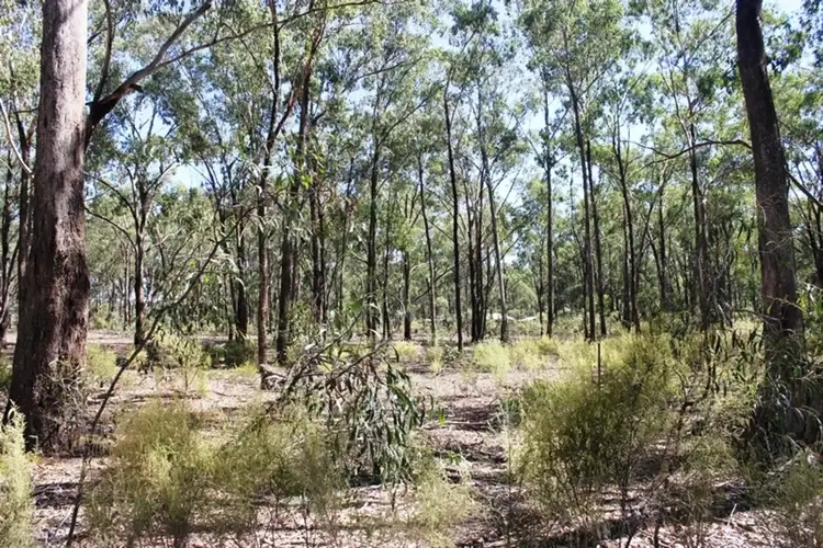 Third view of Homely rural property listing, 476 Murchison Whroo Road, Rushworth VIC 3612