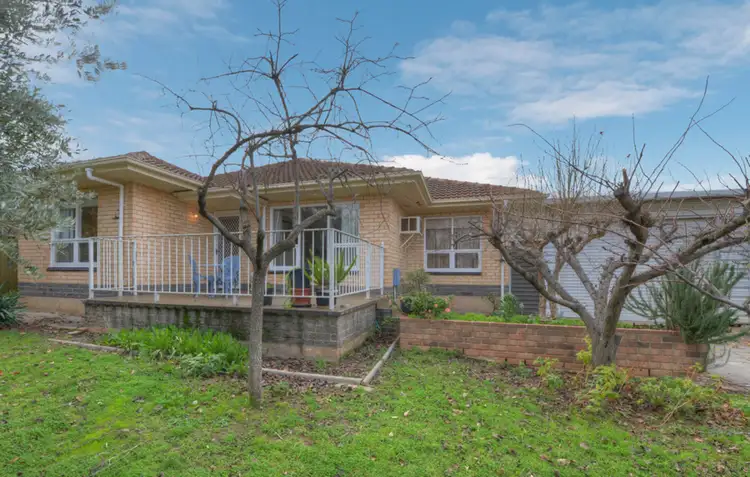12 McRae Avenue, Windsor Gardens SA 5087