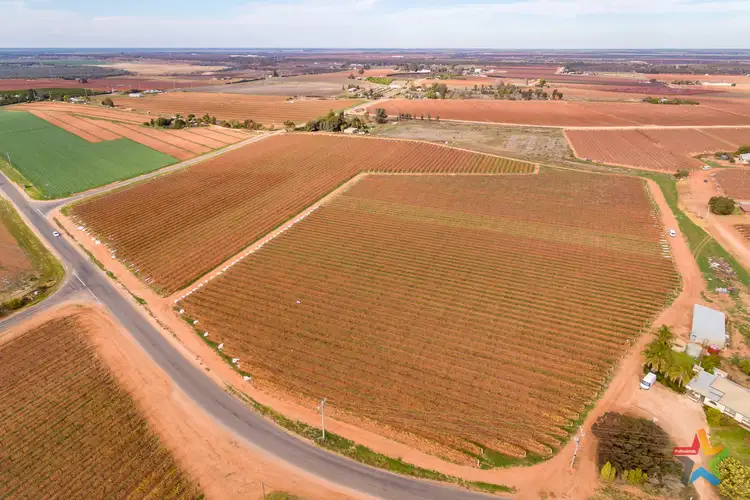 Fourth view of Homely rural property listing, 220 Stewart Road, Red Cliffs VIC 3496