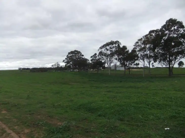 Fourth view of Homely rural property listing, Lot 249/3 Schirmer Road, Freeling SA 5372