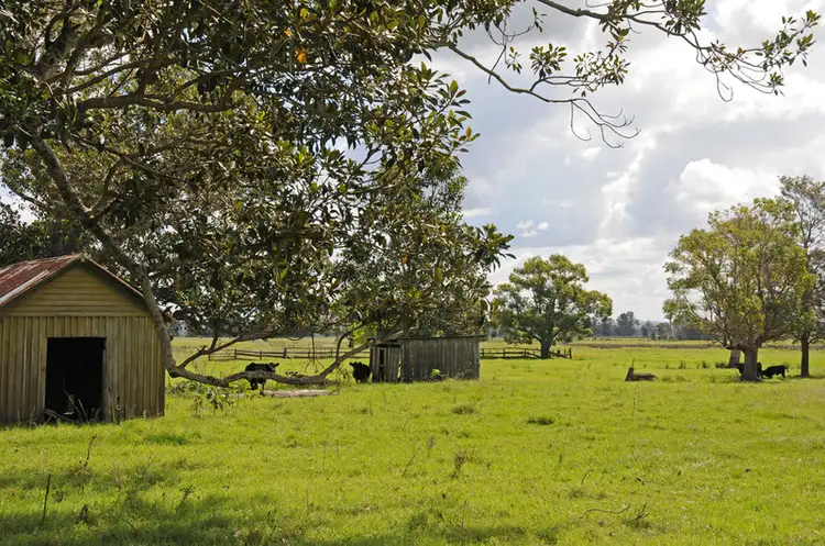 Fifth view of Homely rural property listing, 143 Ensbey Road, Lawrence NSW 2460