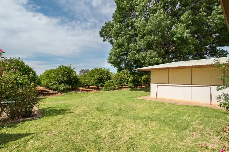 Sixth view of Homely rural property listing, 240 Coorong Avenue, Irymple VIC 3498