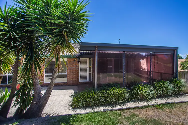 Main view of Homely house listing, 16 Nandina Terrace, Banora Point NSW 2486