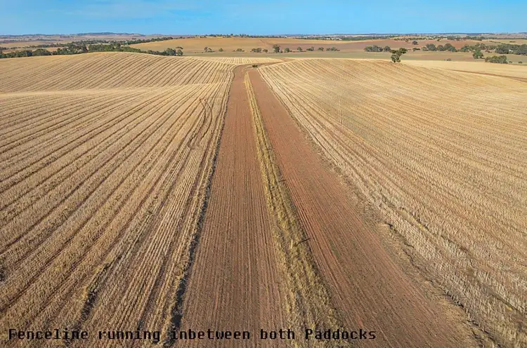 Third view of Homely rural property listing, 480, 481 & 495 Thiele Highway, Kapunda SA 5373
