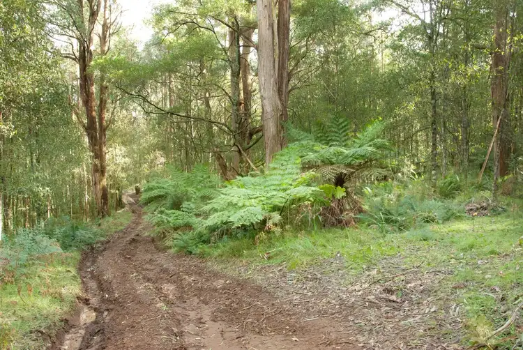 Sixth view of Homely land listing, 1055 Don Road, Healesville VIC 3777