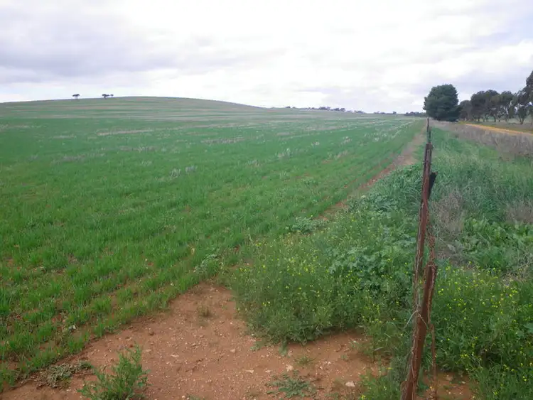 Fourth view of Homely rural property listing, Gladstone Caltowie Road, Gladstone SA 5473