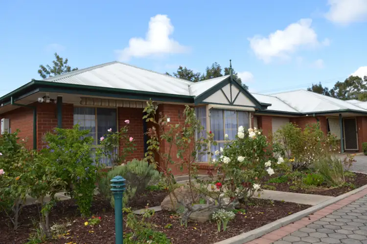 Main view of Homely unit listing, 3/118 Swan Terrace, Glanville SA 5015