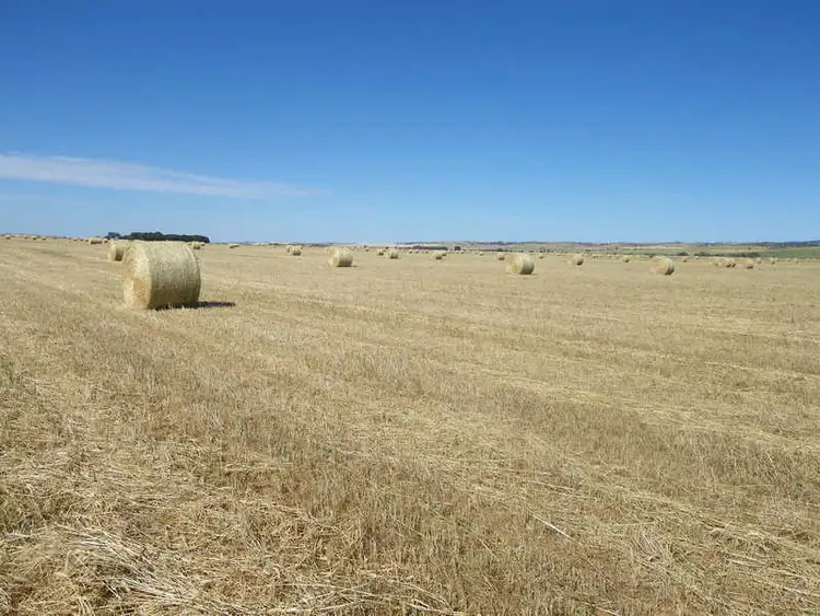 Second view of Homely rural property listing, Secs. 80, 81N & 81S Hundred, Appila SA 5480