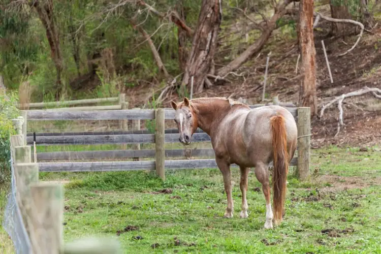 Seventh view of Homely land listing, 121 Sutherland Road, Diamond Creek VIC 3089