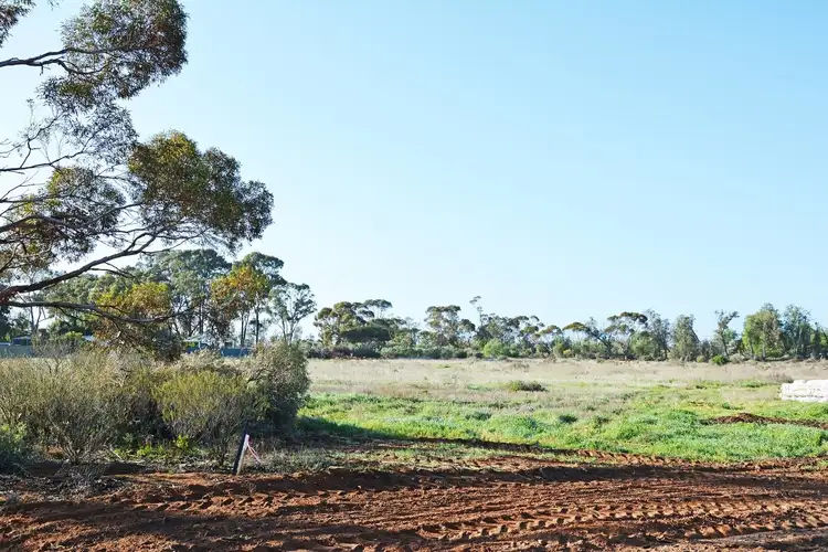 Main view of Homely rural property listing, 3249 A & B Sixteenth Street, Irymple VIC 3498