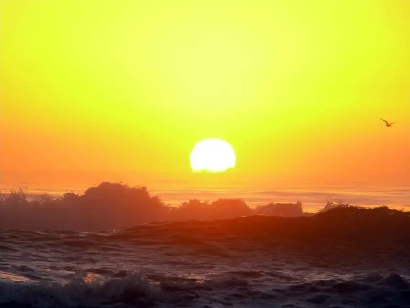 Main view of Homely house listing, 1 The Esplanade, New Brighton NSW 2483